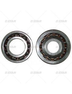 'CJTO. RODAMIENTOS BOMBA