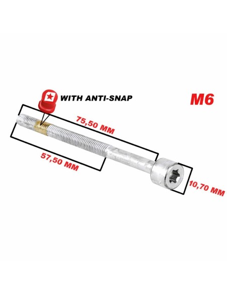 TORNILLO DE FIJACIÓN SOPORTE INYECTOR